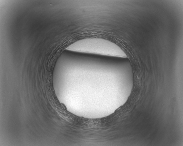 X0000080710865200612150900