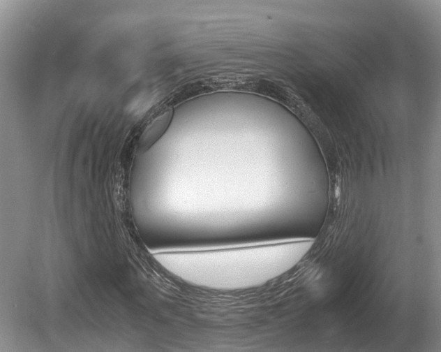 X0000080710867200612150900