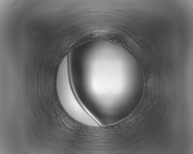 X0000080710868200612150900