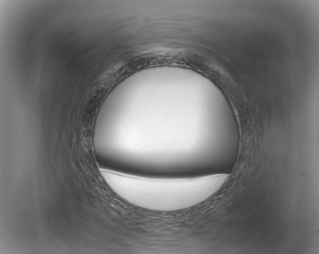 X0000080710869200612150900