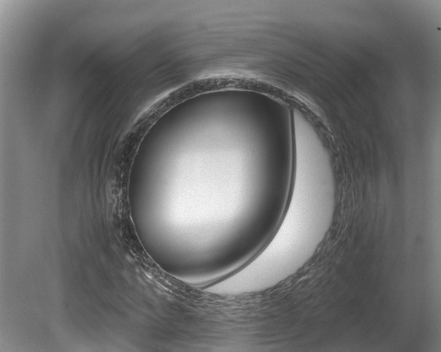 X0000080710872200612150900