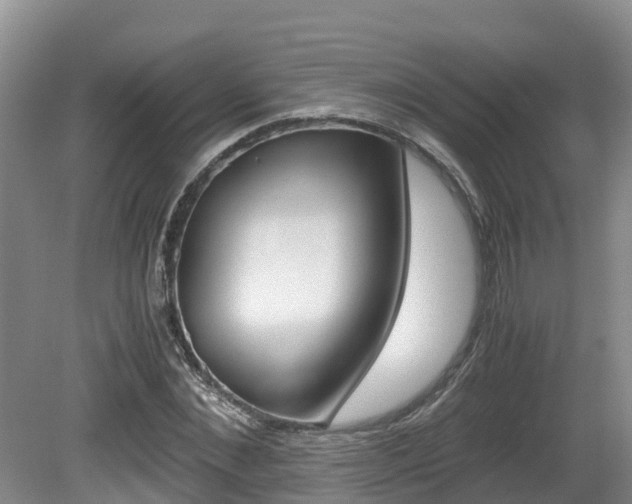 X0000080710876200612150900