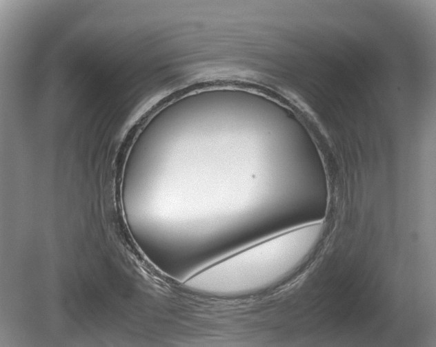 X0000080710877200612150900
