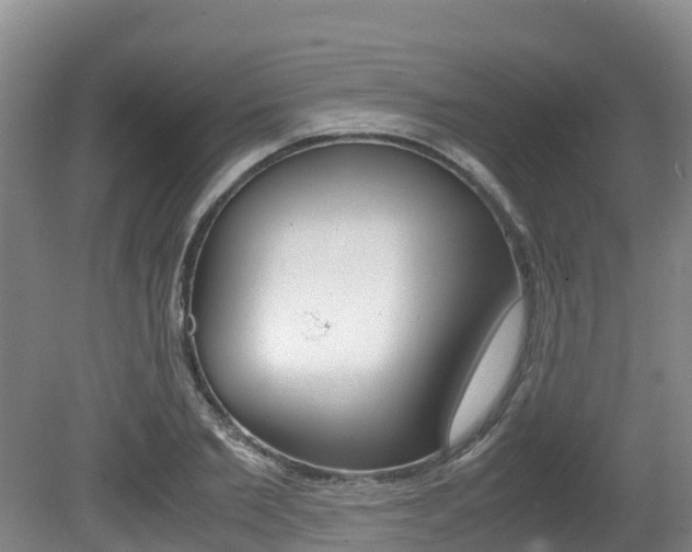 X0000080710885200612150900