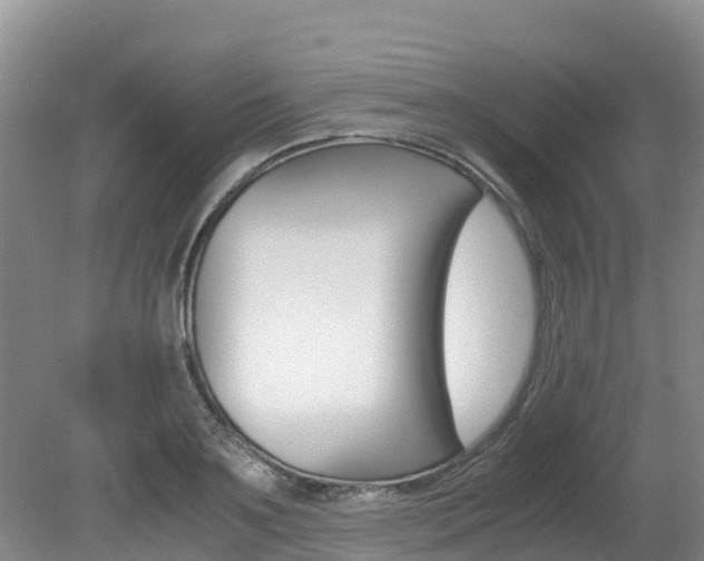 X0000080710891200612150859