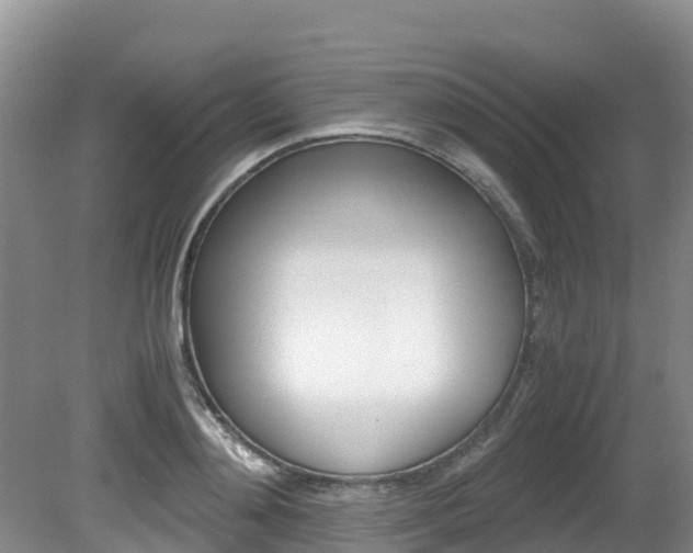 X0000080710892200612150859