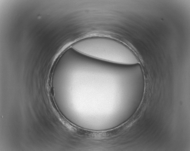 X0000080710893200612150859