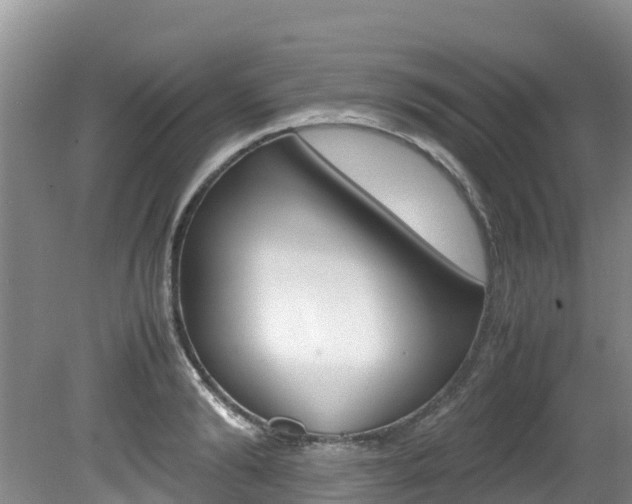 X0000080710894200612150859
