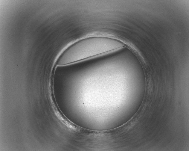 X0000080710896200612150859