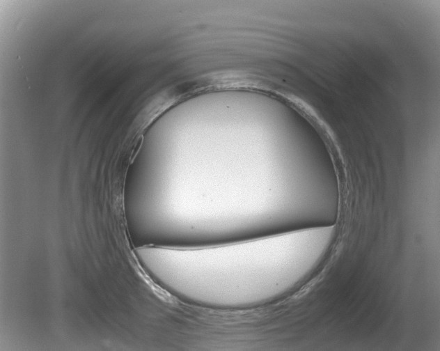 X0000080710897200612150859
