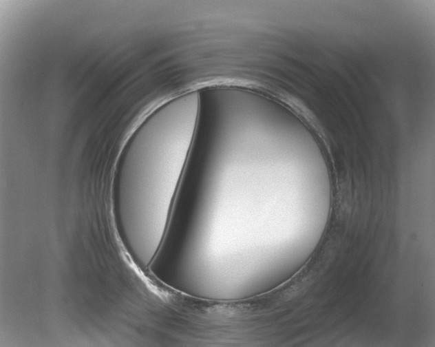 X0000080710898200612150859