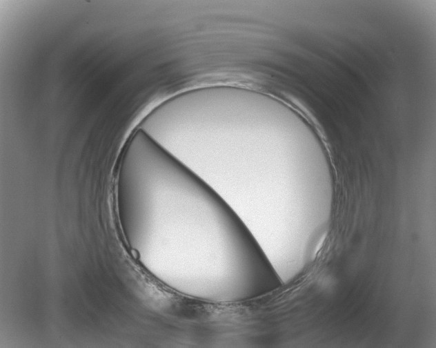 X0000080710899200612150859