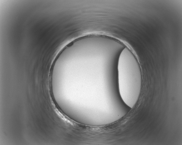 X0000080710903200612150859