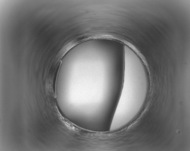 X0000080710905200612150859
