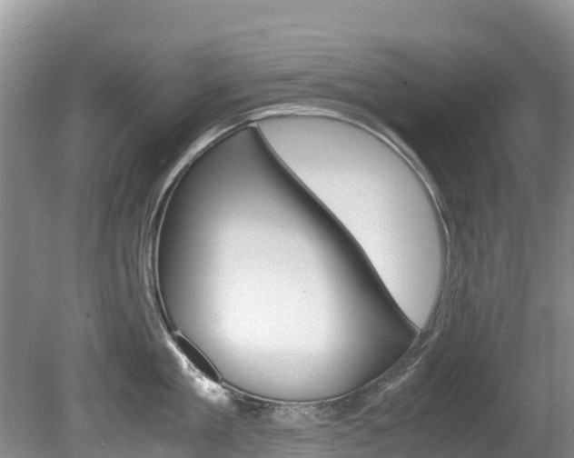 X0000080710909200612150859
