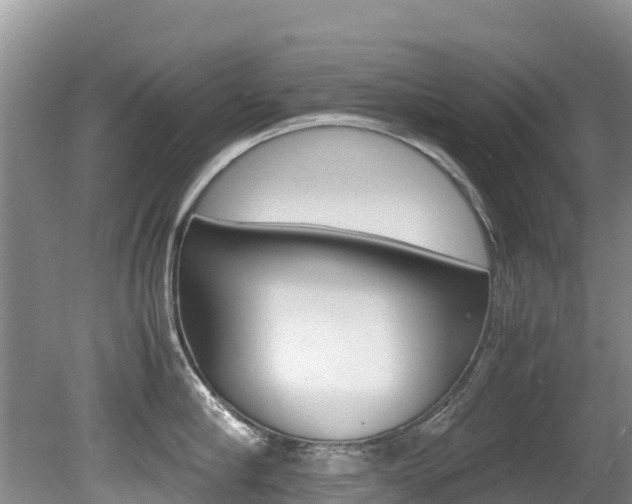 X0000080710910200612150859