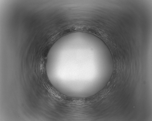X0000080710914200612150858
