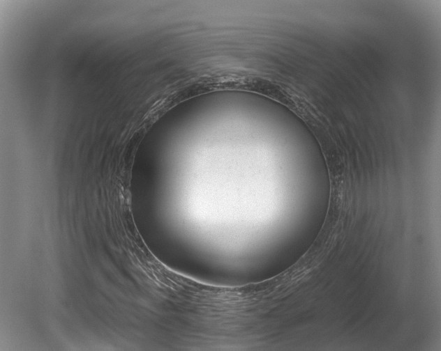 X0000080710916200612150858