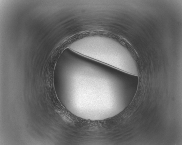 X0000080710919200612150858