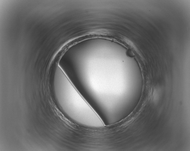 X0000080710923200612150858