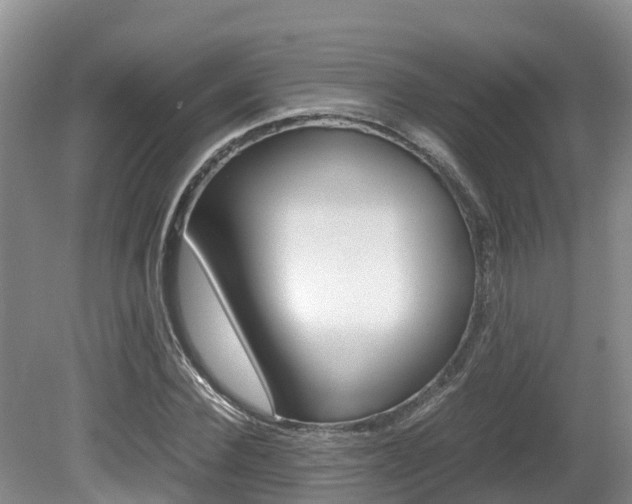 X0000080710924200612150858