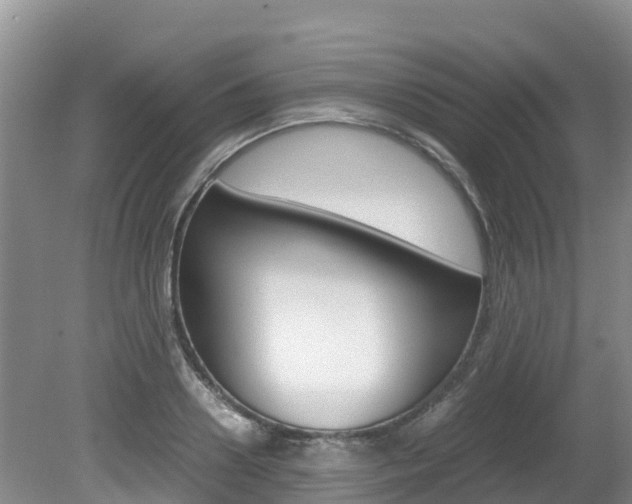 X0000080710938200612150859