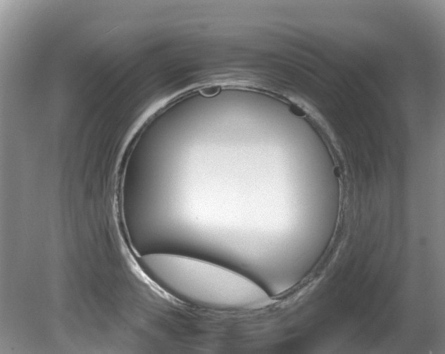 X0000080710941200612150859