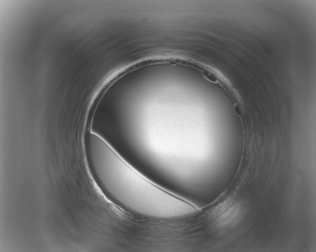 X0000080710943200612150859