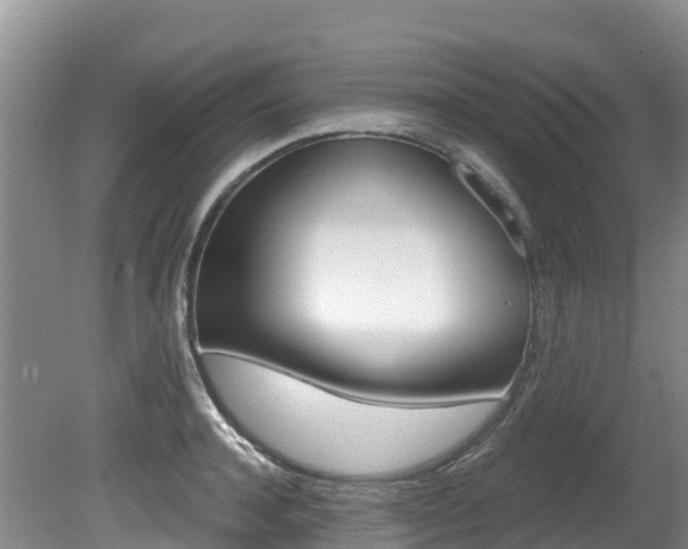 X0000080710944200612150859