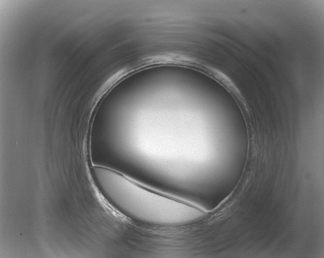 X0000080710946200612150859