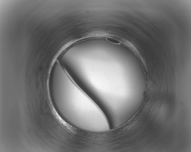 X0000080710947200612150859