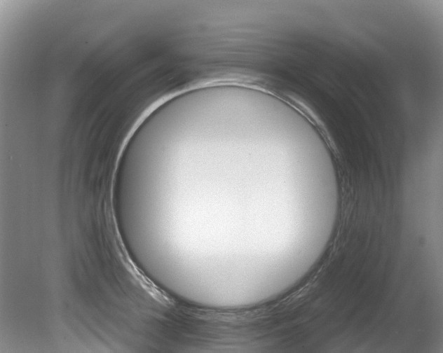 X0000080710948200612150859