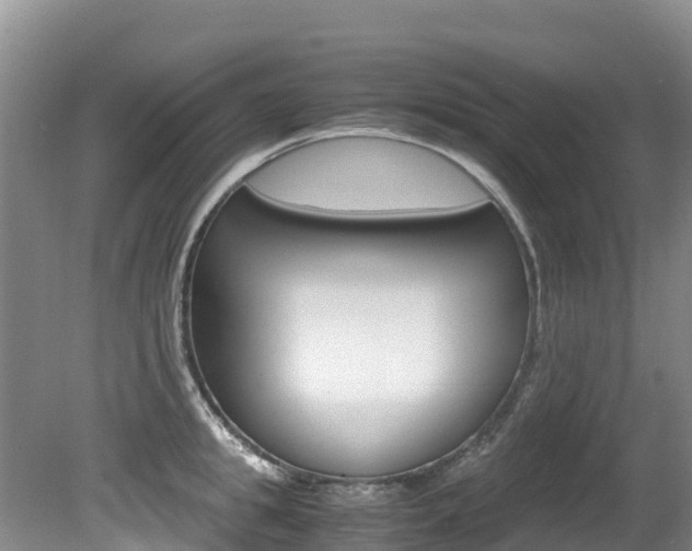X0000080710949200612150859