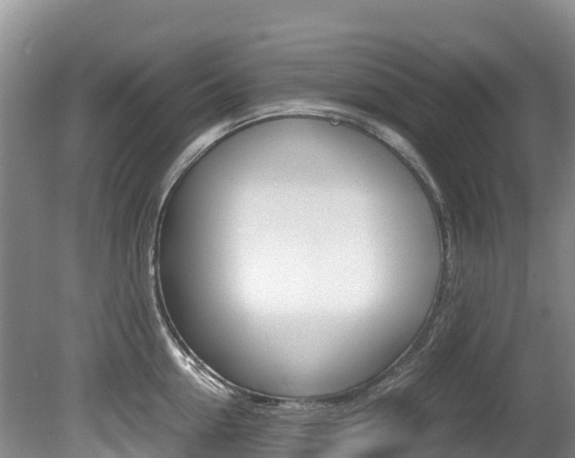 X0000080710954200612150859