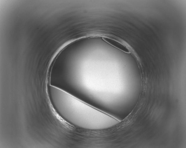 X0000080710955200612150859