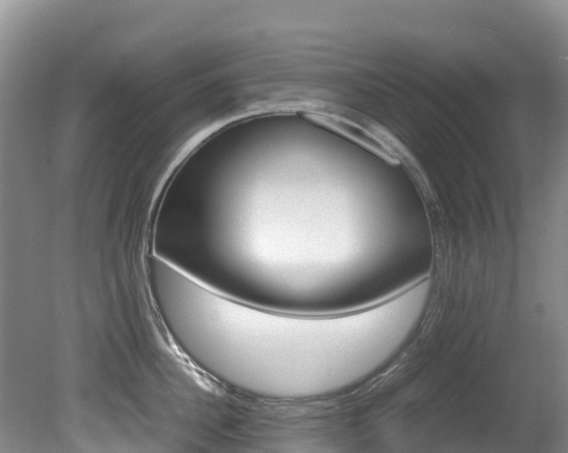 X0000080710956200612150859