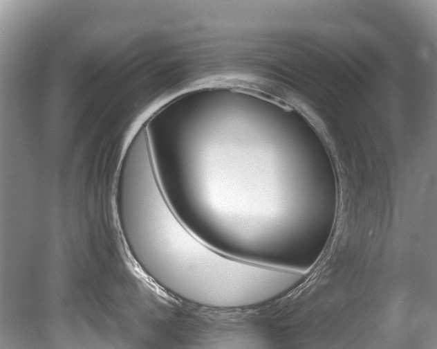 X0000080710960200612150859