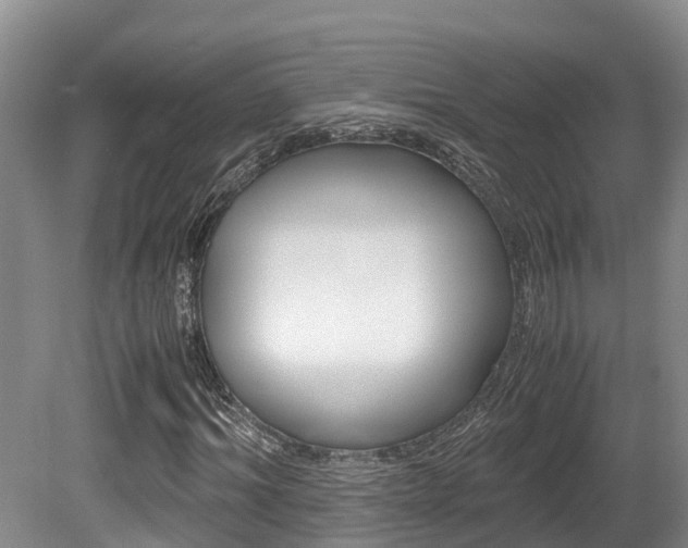 X0000080710964200612150858