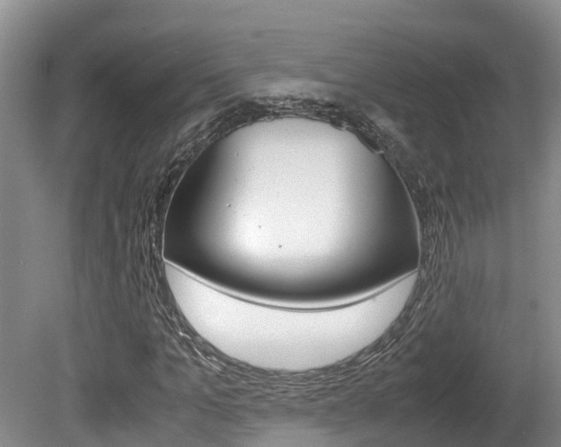 X0000080710965200612150858