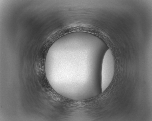 X0000080710966200612150858
