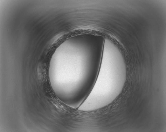 X0000080710968200612150858