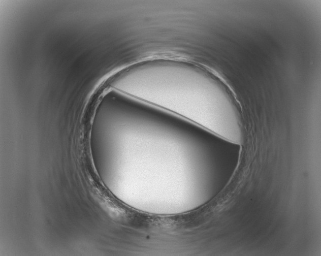 X0000080710971200612150858
