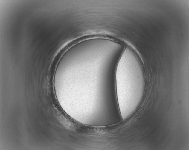 X0000080710975200612150858