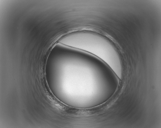 X0000080710977200612150858