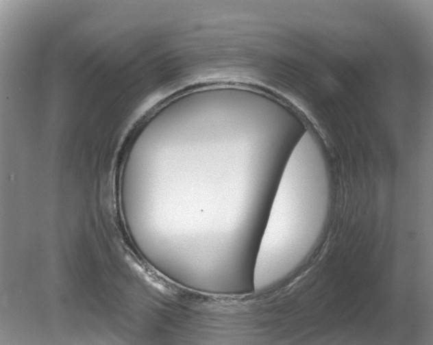 X0000080710982200612150858