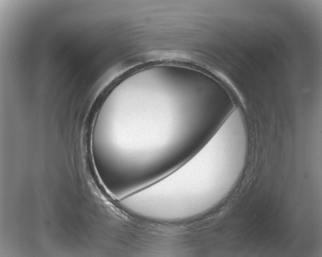 X0000080710983200612150858