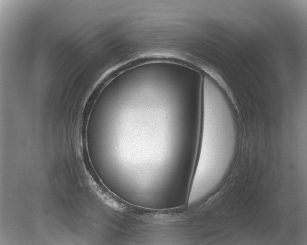 X0000080710984200612150858