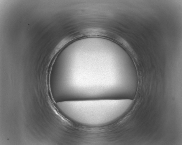 X0000080710986200612150858