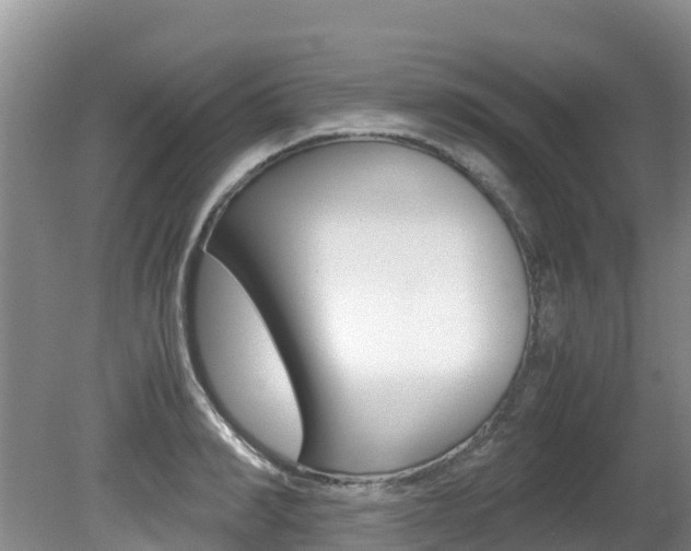 X0000080710990200612150858