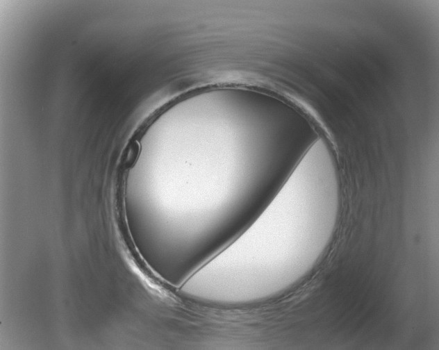 X0000080710991200612150858